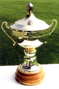 Český pohár